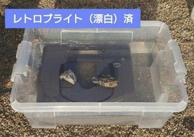 [Built-in power memory, FRAM replaced] V Saturn cleaned, and maintained.