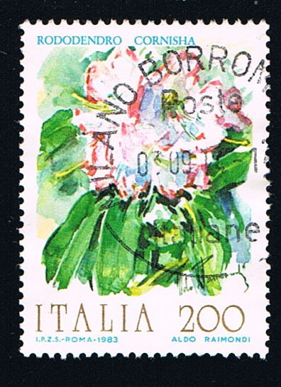 Foto 1 di 1