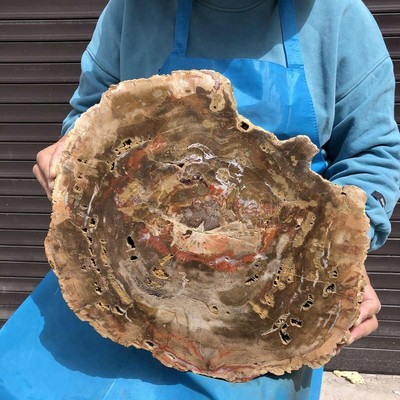 16.85LB Natural petrified wood fossil crystal polished slice Madagascar 11