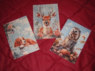 Blanc-Karten 3er Set * Natur * Tiere, Vögel und Blumen * Scrapbookioder Junk-Jou