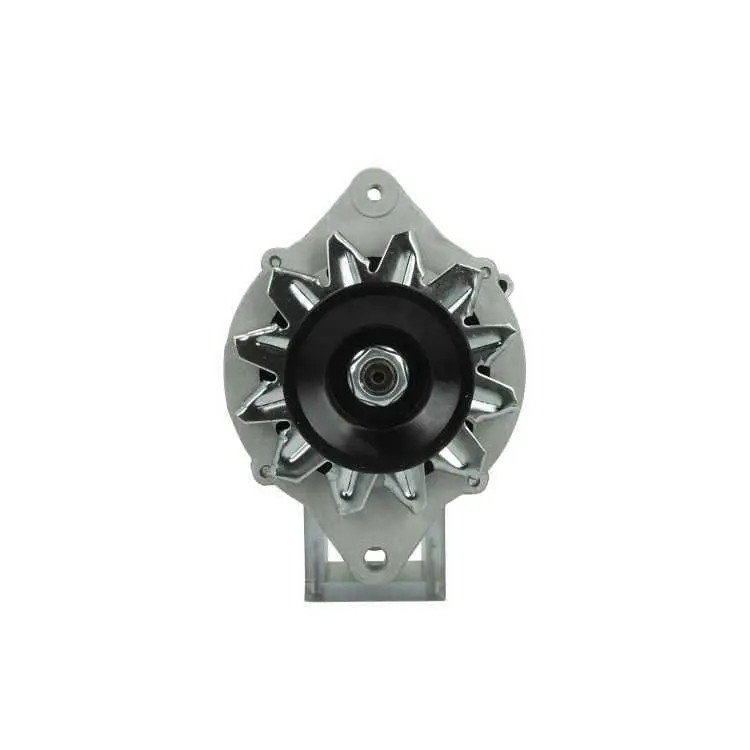 Alternatore 165.823.060.080 BV PSH