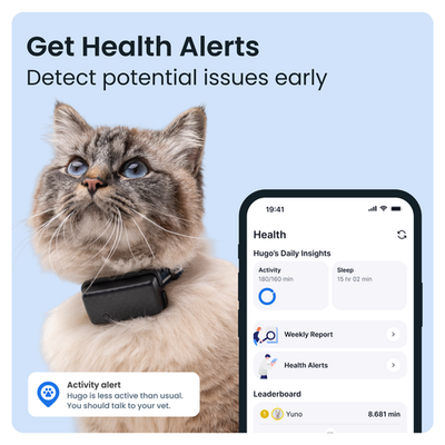 TRACTIVE GPS CAT Mini Nyomkövető Macskáknak - Sötétkék - Foto 7