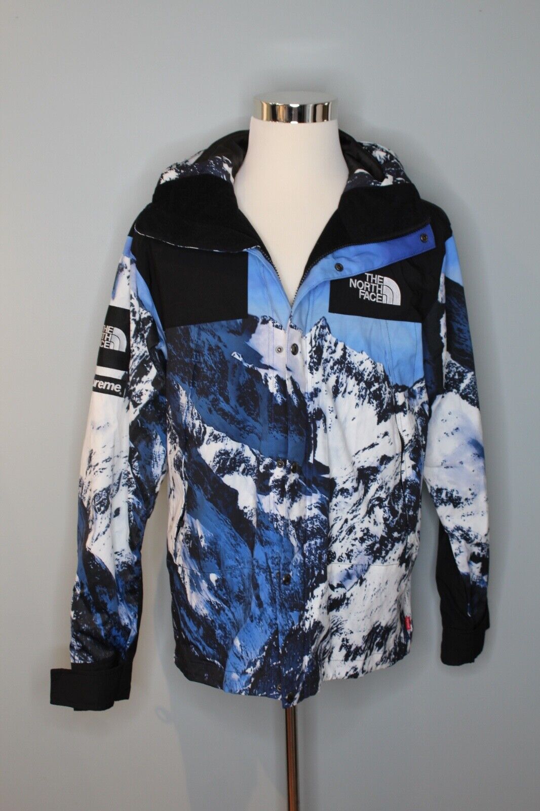 メール便可 2セットまで Supreme The North Face Mountain Jacket L