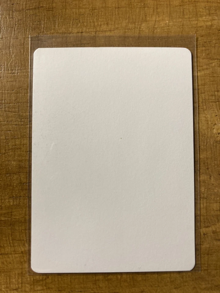 MTG ✨SAFE HAVEN ARTIST PROOF ✨Chronicles MINT 1995 RARE C. Rush MTG Artwork - Image 3 of 3