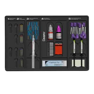 Dentsply Core & Post System Kit Free Ship