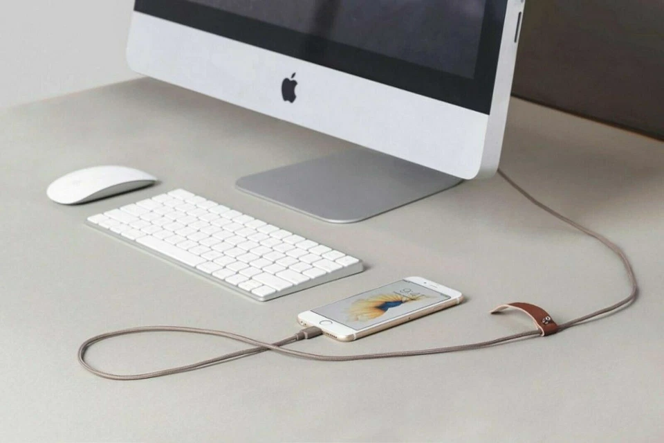 NEW Native Union Belt Cable 4' 8-Pin USB Charging Cable TAUPE leather for iPhone - Image 4 of 4