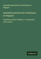 AssembléE GéNéRale Des Catholiques En Belgique Belgique Taschenbuch FranzöSisch