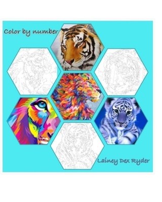 Color By Numbers by Lainey Dex Ryder (English) Paperback Book