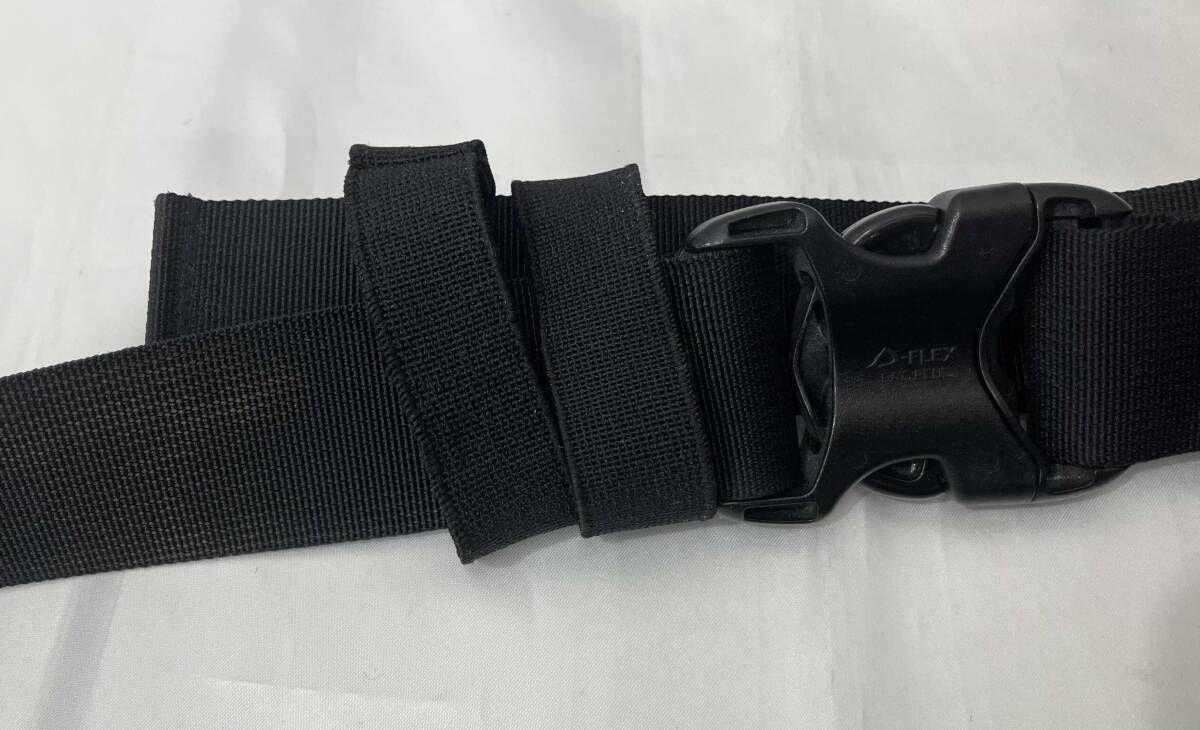 Patagonia STY49280 Waist Pack Outdoor Bag Hip Pack Used thumbnail 9