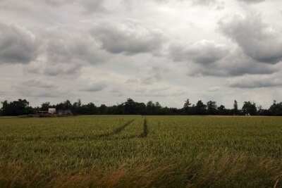 Photo 6x4 Livermere Thicks Conyer's Green Taken from the minor road that  c2005
