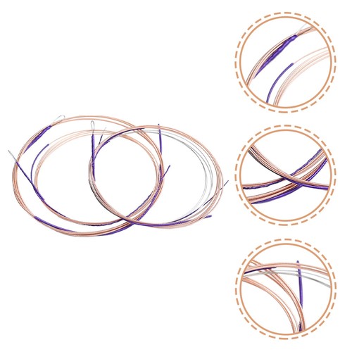 4 Pcs Chinese Lute Supplies Part The Strings Musical Instrument eBay