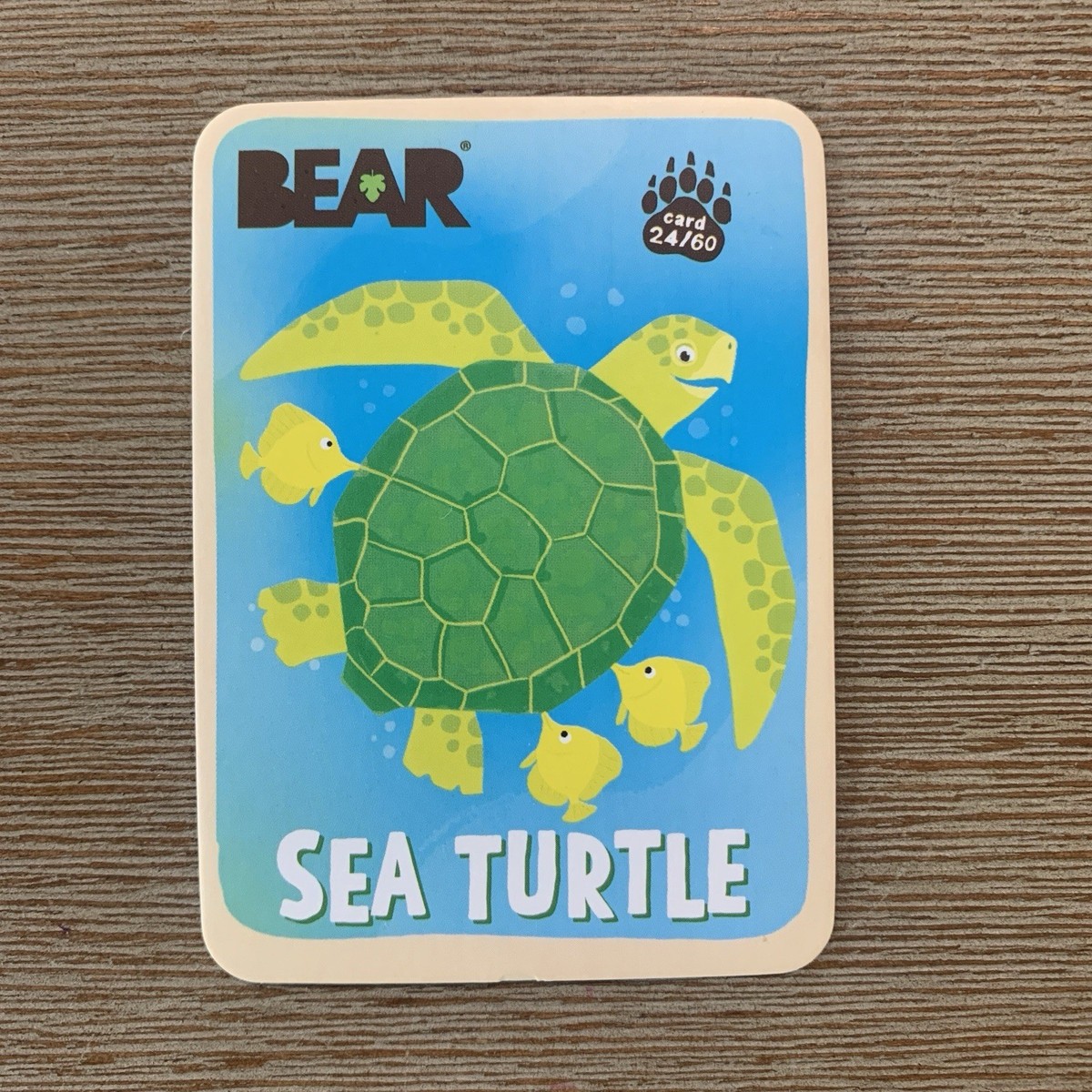 Sea Turtle Bear Snacks Card #24 Bear Fruit Roll Collectible Animal