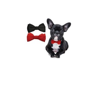 black bow tie for dogs