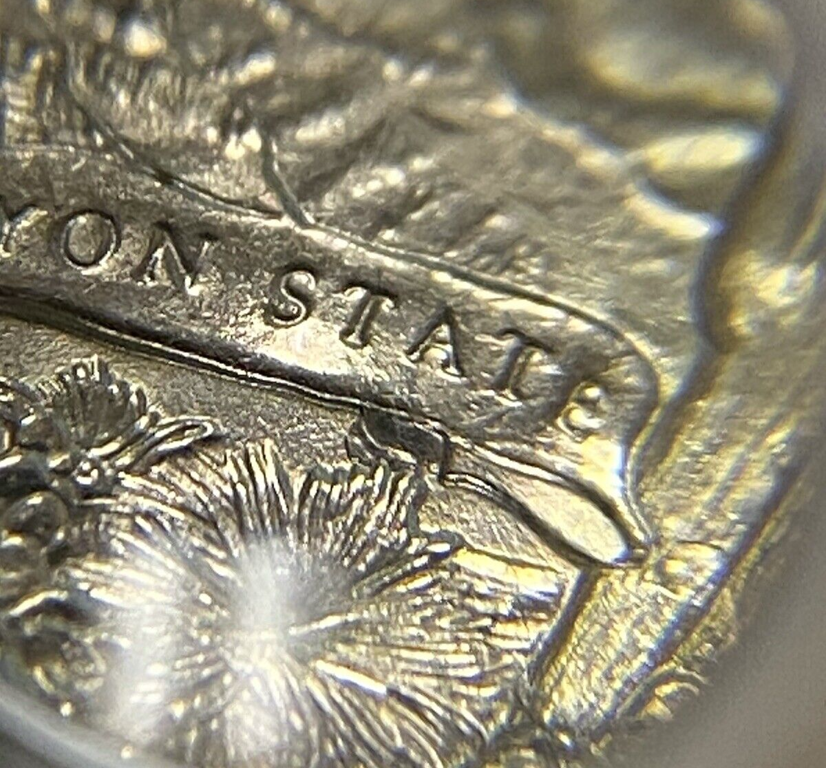 Picture 13 of 19