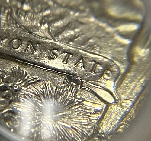 2008 P Arizona Quarter Die Breaks/Chips Double Die Lettering Extra Cactus Errors - Picture 13 of 19