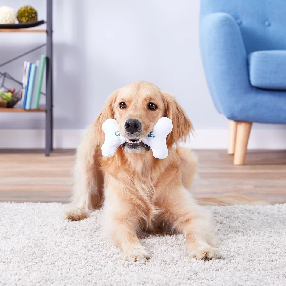 Multipet Chilly Bone Large Vanilla Flavor -Canvas Dog Toy for Teething & Chewing - Image 2 of 4