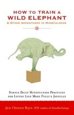 How to Train a Wild Elephant: And Other Adventures in Mindfulness - VERY GOOD