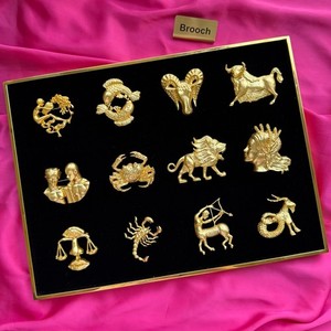 Schiaparelli Pin | eBay