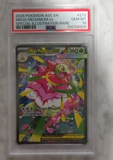 メガメガニウムex 台湾版 Mega Meganium ex Mega Meganium ex - 010