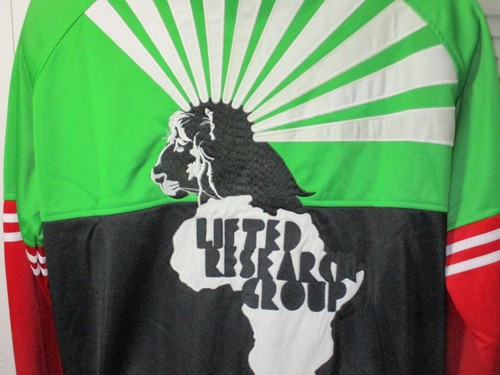 Vtg. LRG Roots And Equipment Lion Africa Y2K Hip Hop Track Jacket L - Picture 5 of 10