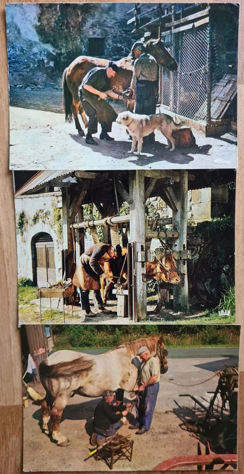 ** Lot de 3 Cartes, Maréchal Ferrant, Chevaux, Vie à la Campagne - Photo 1/1