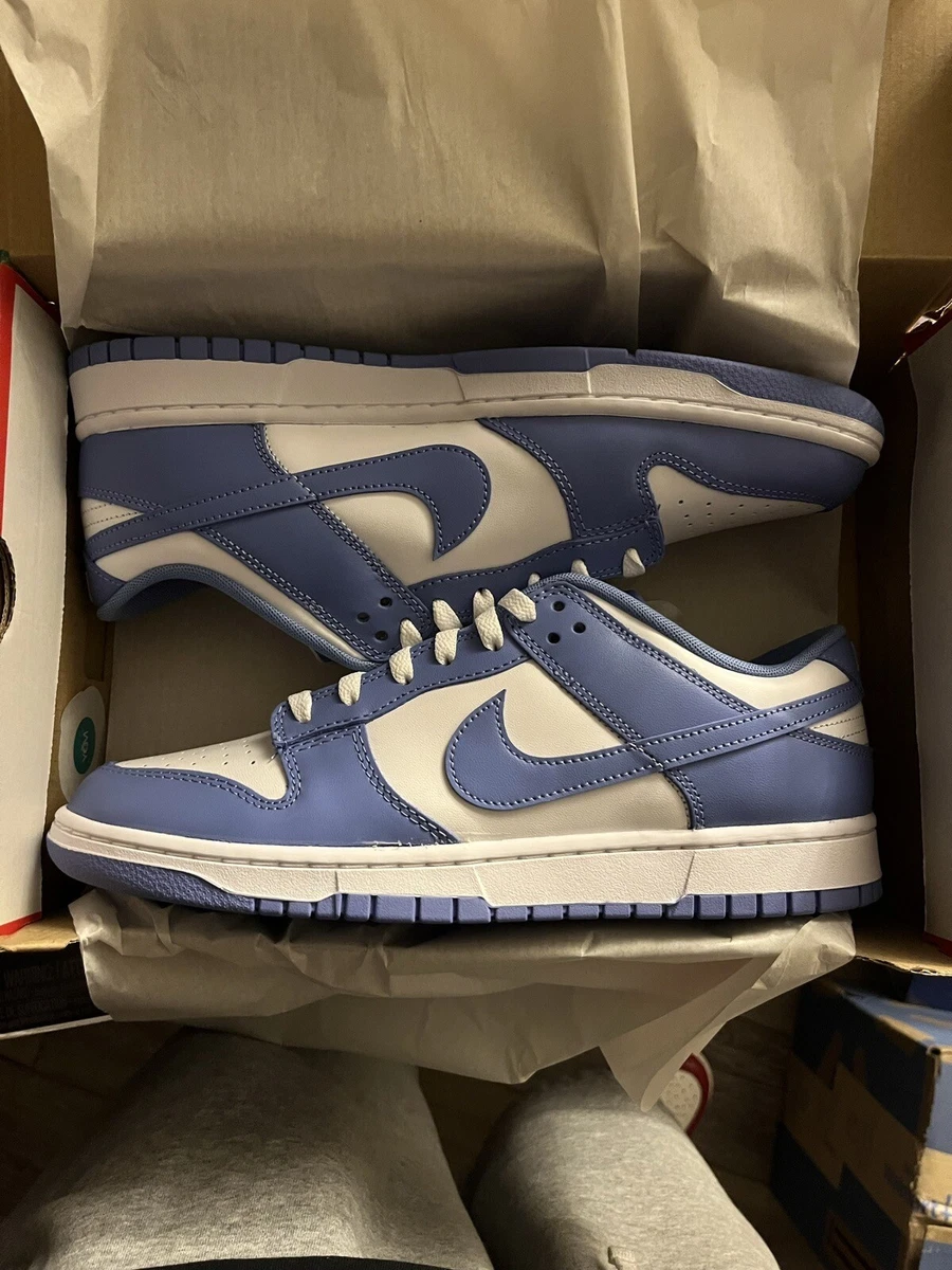 NEW Nike Dunk Low Retro Sneakers Shoes Polar Blue White Men s Size 12 DV0833 400