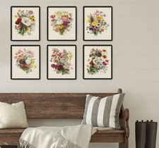 French Botanical Bouquet Print Collection