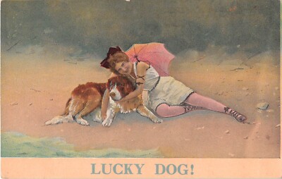 Lovely Lady Wearing Swim Dress on Beach With St. Bernard-Lucky Dog!-Old  PC-S.278 | eBay