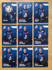 29 AK N&uuml;rnberg Ice Tigers Eishockey Autogrammkarten original signiert Saison ? 1