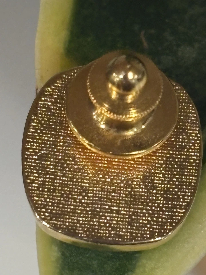 Vyg. Charlotte Hornets Clothing Pin NBA Basketball - Image 2 of 3