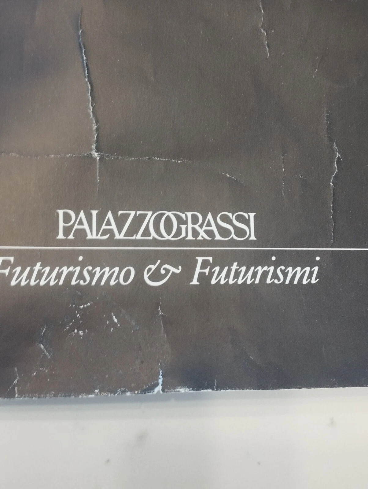 Foto 12 di 12