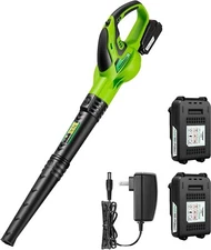 VIVOSUN Cordless Leaf Blower,Vacuum Dust Cleaner Handheld 20V 6 Speed 2 Battery