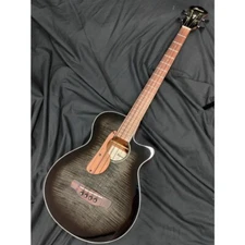 Ibanez Acoustic Bass AEGB25E-TKH [SPOT MODEL]