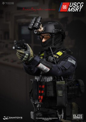 Perfect Damtoys 78016 1/6 U.S. Coast Guard Msrt In Stock New | eBay