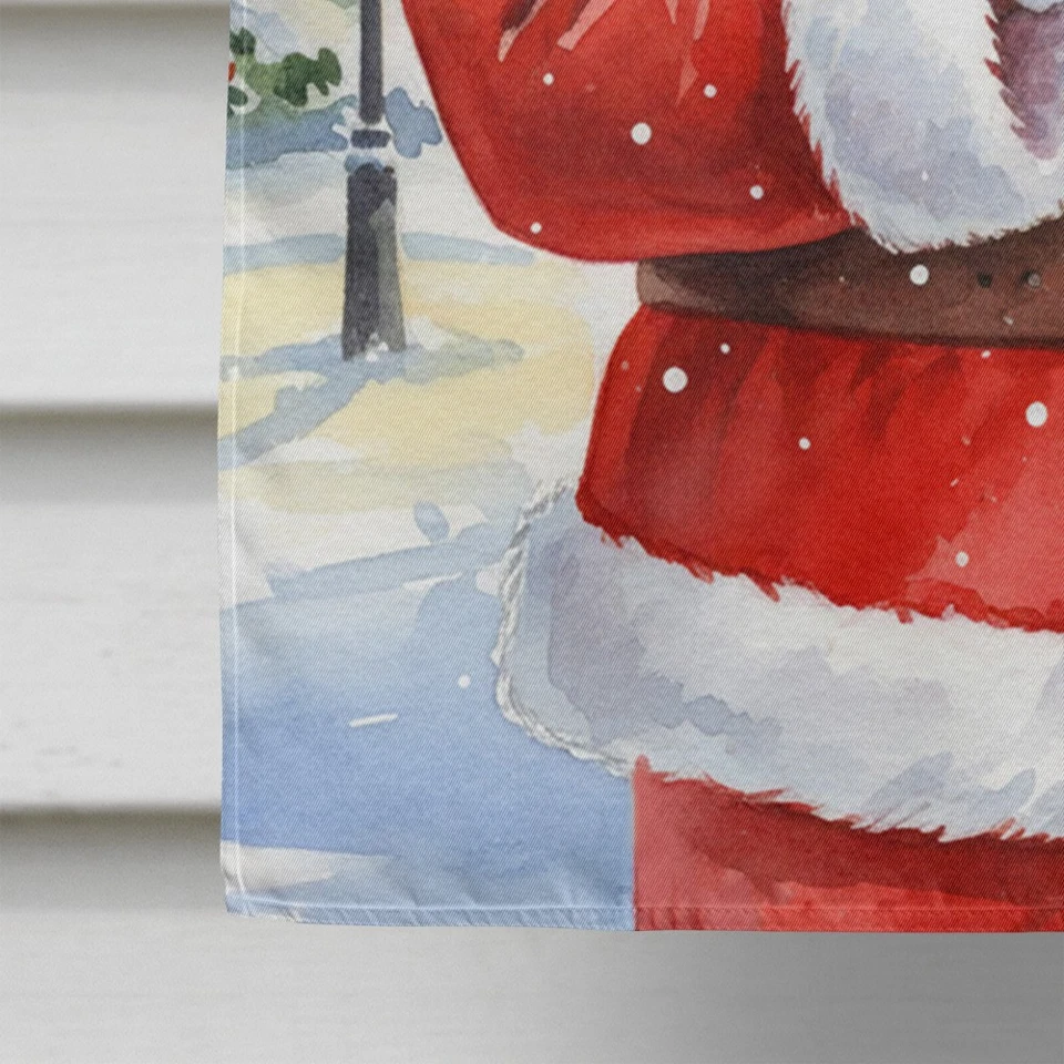 Pinzón cebra Caroline's Treasures con bandera de la casa de Santa Claus FNT1229CHF Foto 4 de 4