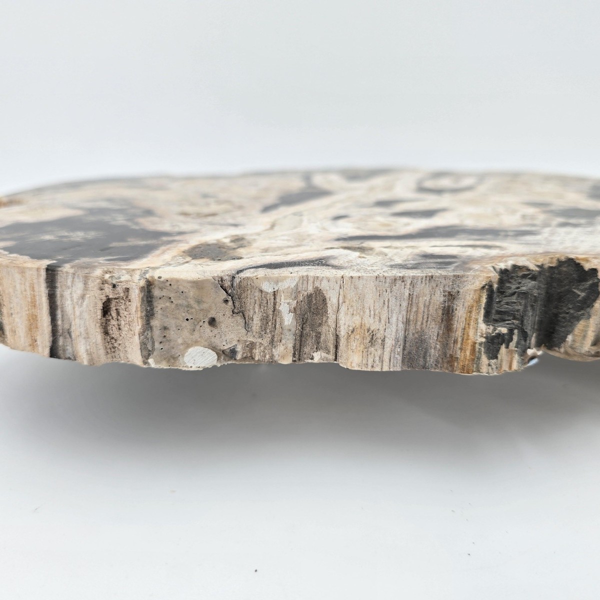 Vintage ＊ petrified wood tray Petrified Wood Tray - Etsy