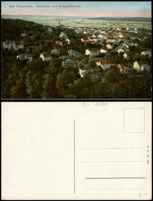 Ansichtskarte Bad Freienwalde Panorama vom Kriegerdenkmal 1910