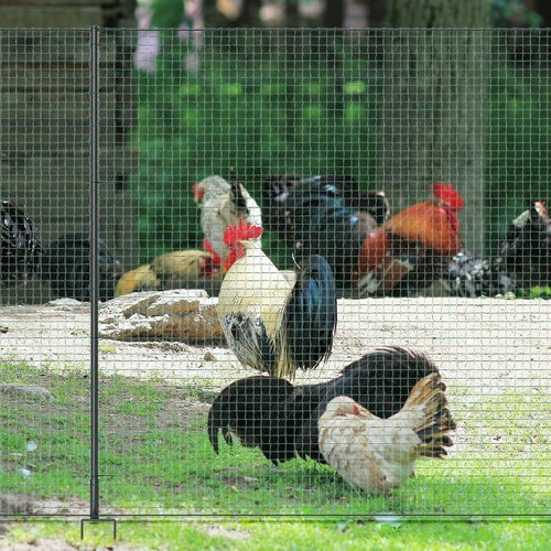 SLSY Non Electric Fence Netting, 40" x100' /164' Movable Livestock Nets Mesh - Picture 14 of 28