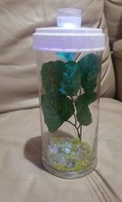 Glass Beta Fish Tank 7.5" X 3.5" With Cover Led Light Change Color Deco Set