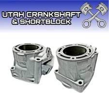 Plated Polaris VES 900 Cylinder Set 2005 Fusion RMK Switchback 3021615 3021576 