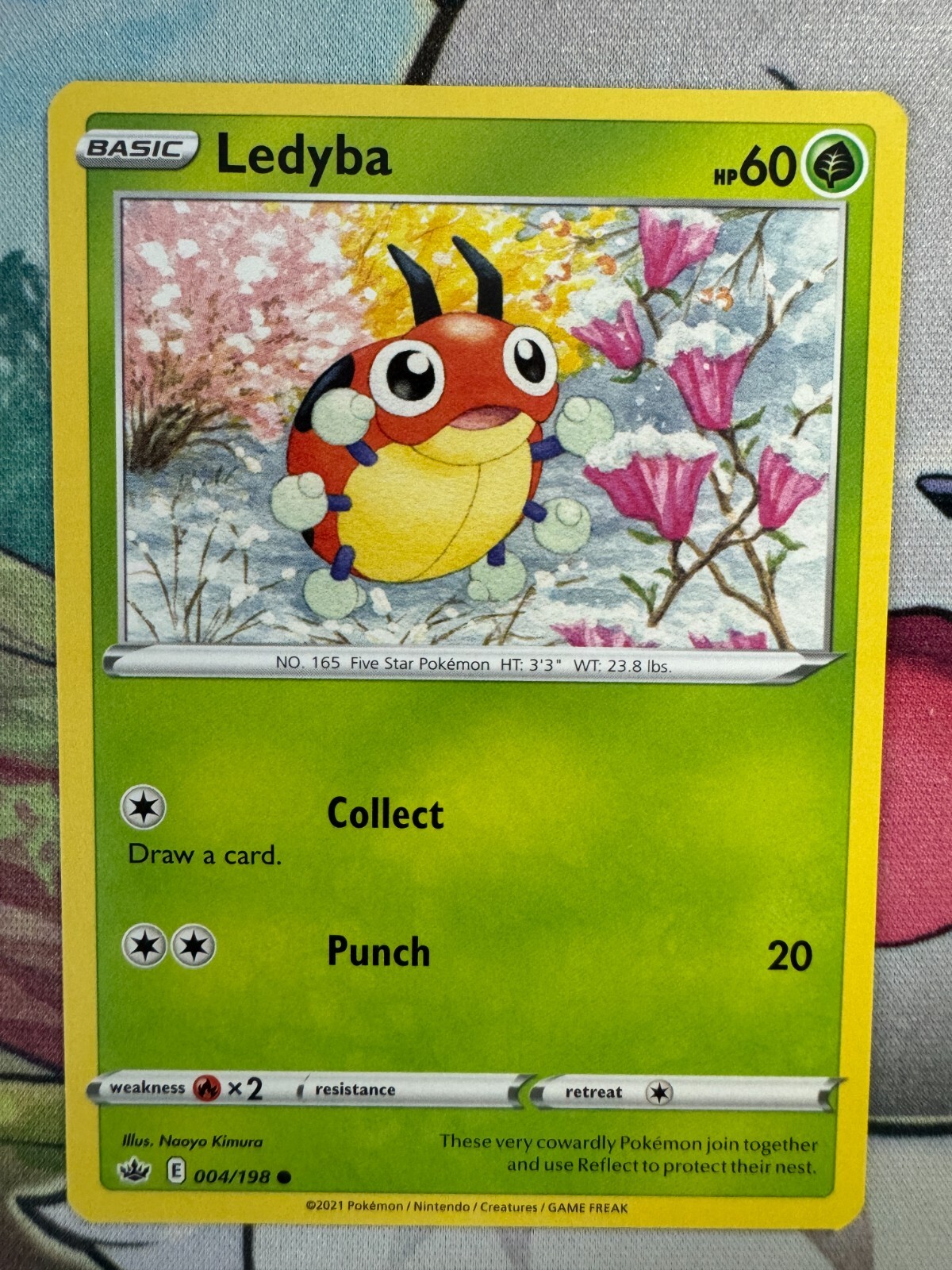 Ledyba Non Holo English Pokemon TCG BKB514