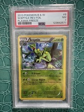 Sceptile 8/116 Plasma Freeze Reverse Holo PSA 7 on eBay