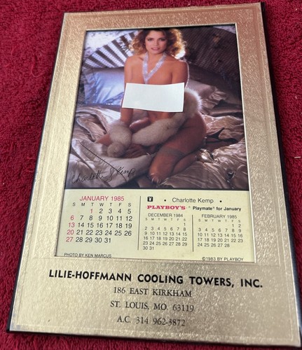 1985 Playboy Playmate Desk Calendar Shannon Tweed Pinup Complete12 Month Promo