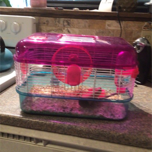 Kaytee Small Hamster Cage Pink Single Tier with Wheel and Accessories