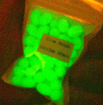 50 pieces Soft Oval Luminous Glow in Dark Fishing Beads Green 10x15mm  