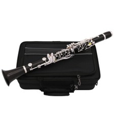 Music lover professional clarinet C 17 key ebony silver plated case