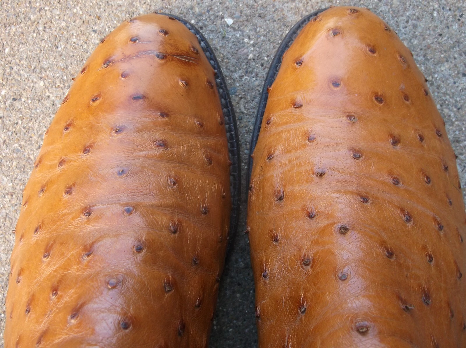 LUCCHESE 2000 Peanut Brittle Exotic FQ Ostrich Roper Cowboy Boots 81/2