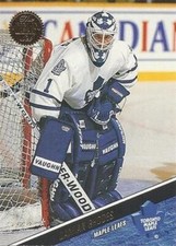 #367 Damian Rhodes - Toronto Maple Leafs - 1993-94 Leaf Hockey