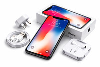 Apple iPhone X Unlocked 64GB 256GB Grey Silver Pristine A+++ Condition 1 Year