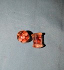 0g Spencer's Acrylic Flower Filled Plugs